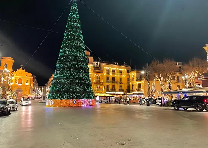 Sun Drop Bed and Breakfast